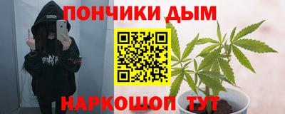 стафф Лесосибирск